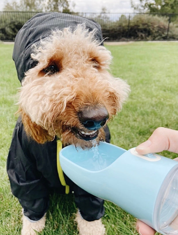 2 IN 1 PORTABLE PET FEEDER - BLUE