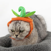 Halloween Pet Cats Costume Props Creative Pumpkin